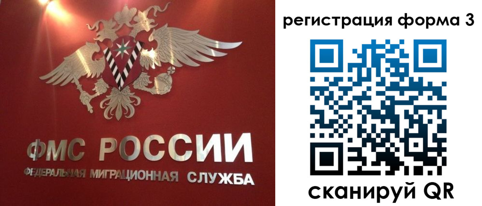 прописка гарантия в Оленегорске